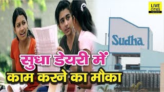 Bihar में Job के लिए बंपर बहाली Sudha Dairy ने निकाली 80 Post पर Vacancy ऐसे कीजिए Apply [upl. by Keverne998]