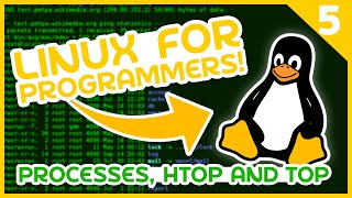 Linux for Programmers 5  Processes htop amp top [upl. by Siroval]