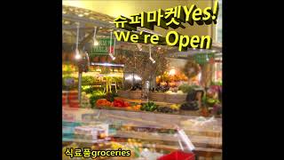 식료품groceries  Aisle 9 Palm Leaves Breezes and Sunset Gradients [upl. by Navaj]