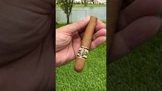 cigar sunnydayvibes arturofuente cao davidoff padron trinidad cohiba ashton stdupont [upl. by Kinelski]