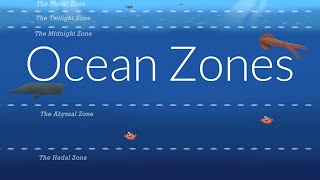 Ocean Zones  Nautilus Live [upl. by Neelram466]