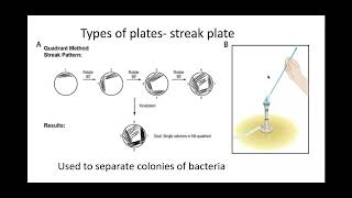 621 Cloning and biotechnology PART 2 g How to culture microorganisms in the lab [upl. by Kubiak]