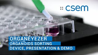 OrganEYEzer  Highthroughput sorting of organoids [upl. by Hnoj]