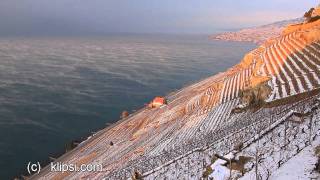 STEAMING LAKE GENEVA IN ICE COLD WIND FEB 5 2012 [upl. by Yesor508]