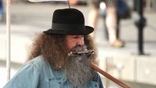 Buskers Blues by Dave Harris [upl. by Ballard314]