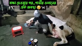 গাভীর ওলানএমন হলো কেন 😢🐄 [upl. by Haletta]