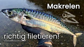 MAKRELEN richtig filetieren und zubereiten  Catch amp Cook [upl. by Nwadrebma]