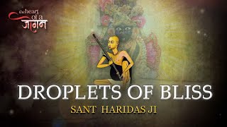 Informative Video on Sant Haridas Ji  Droplets of Bliss Episode 2 swamiharidas shreebankebihari [upl. by Cora547]