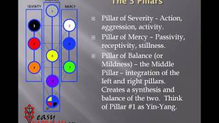 Tree of Life Basics [upl. by Ikim932]