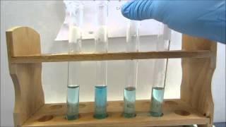 Double Displacement Reactions [upl. by Freeland59]