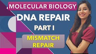 Mismatch RepairDna Repair Part I Molecular Biology Repair SystemCSIRNETGATEIITJAMDBTICMR [upl. by Vin]