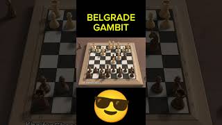 BELGRADE GAMBIT [upl. by Kaine]