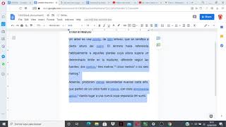 Cómo establecer el interlineado y la separación de párrafos en Google Docs [upl. by Llennor]