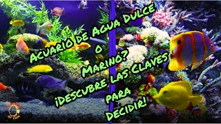 ¿Acuario de Agua Dulce o Marino Descubre cuál es ideal para ti [upl. by Ytok410]