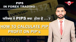 What is PIPs in Forex Trading Explain in Hindi  How to calculate PIP in forex  Profit on PIP [upl. by Hannibal]