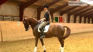 Dressage Exercise  Walk Pirouettes [upl. by Buckler]