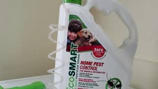 Ecosmart pest control review [upl. by Aihsena]