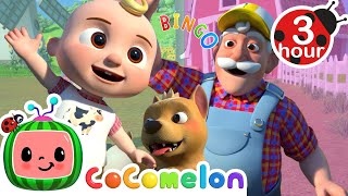 And Bingo Was His NameO  Cocomelon  Nursery Rhymes  Fun Cartoons For Kids  Moonbug Kids [upl. by Jake624]