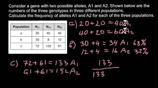 How to Find a Frequency of Alleles in a Population [upl. by Acherman5]