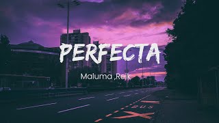 Reik MalumaPerfectaLetra [upl. by Durarte319]