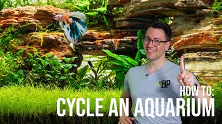 How to Cycle a Planted Aquarium  The Nitrogen Cycle in the Fish Tank  EP2 Planted Tank Overview [upl. by Kerad]