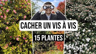 Quelles Plantes pour CACHER un VisàVis en Hauteur [upl. by Sage181]