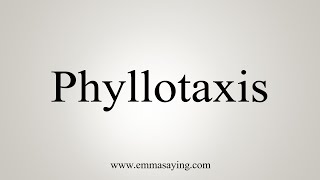 How To Say Phyllotaxis [upl. by Warchaw]