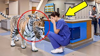 Tiger Invades Hospital Nurse Broke Down in Tears When She Discovered the Reason [upl. by Goar]