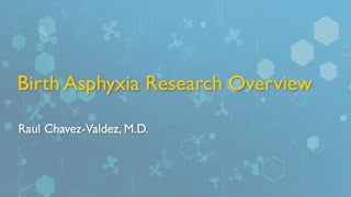 Birth Asphyxia Research Overview [upl. by Eramal716]