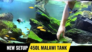 Aquascape Tutorial  Setting up an African Cichlid Aquarium  Full set up video [upl. by Lynnet]