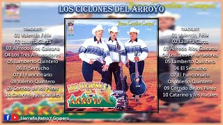 LOS CICLONES DEL ARROYO  Puros Corridos Compa DISCO DE ESTUDIO [upl. by Hirst249]