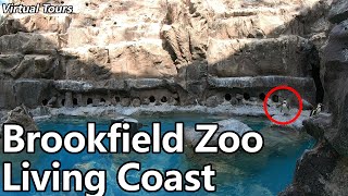 Brookfield Zoos Living Coast  Virtual Tours [upl. by Clover807]