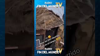 😅🎶👉🏽 𝙎í𝙜𝙪𝙚𝙣𝙤𝙨 𝙚𝙣 radiofindelmundotv ⭐️ radiofindelmundotv futbol Reels [upl. by Ot163]