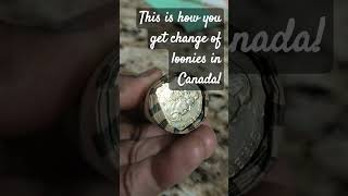 Loonies change in Canada shorts canada dollar [upl. by Arihsak]