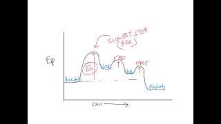 Reaction Mechanisms [upl. by Angelique]