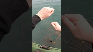 Recupero del quotmostroquot fishing carps carpfishing fishingvideo [upl. by Gonzales]