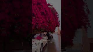 Baarish Lyrics – Yaariyan aesthetic reels shorts status song love lyrics lofi lovestatus [upl. by Fairfield457]