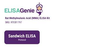 Rat Methylmalonic Acid MMA ELISA Kit SKU RTEB1797  ELISA Genie [upl. by Iaverne]