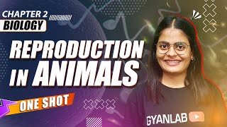 One Shot Lecture  Chp  2  Reproduction in Animal  Gyanlab  Anjali Patel oneshotlecture [upl. by Llennehc]