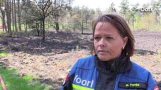 Negende bosbrand op rij in Beuningen vraagt nieuwe inzet brandweer UPDATE [upl. by Mello]