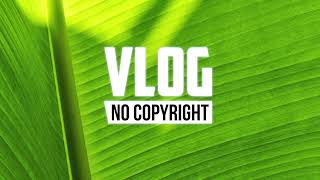 Waesto  Coconut Vlog No Copyright Music [upl. by Bergman]