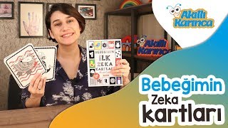 Dıytoy Bebeğimin İlk Zeka Kartları  Akıllı Karınca [upl. by Aip807]