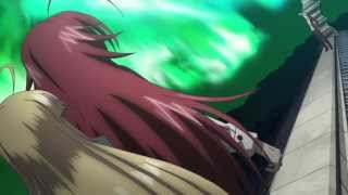 High School DxD Amv  Let the Bodies hit the Floor [upl. by Nyrol]