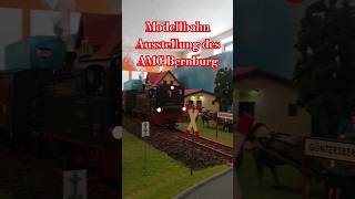 Modellbahn Ausstellung des AMC Bernburg 99 6102 Kiss [upl. by Tolland]