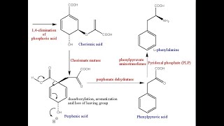 Shikimate Pathway l Biosynthesis of Aromatic amino acids l Mechanism l Structures l Significance [upl. by Narag940]