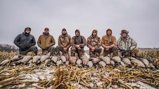 LATE SEASON INDIANA GOOSE HUNT 6 MAN [upl. by Decato320]