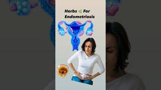 Endometriosis Natural Strategies for Pain Relief endometriosis womenhealth uterus [upl. by Ellerehc]