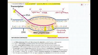 Week 10  Gene expression Gene regulation [upl. by Primaveria]