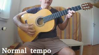 Gipsy Kings  quotVolarequot Tutorial   Cover [upl. by Berte]