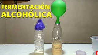 Experimento sobre la fermentación alcohólica procedimiento y materiales [upl. by Madel]